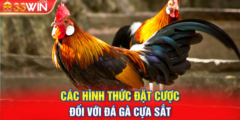 Các hình thức đặt cược đối với đá gà cựa sắt