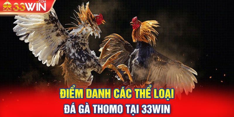 Điểm danh các thể loại đá gà Thomo tại 33Win